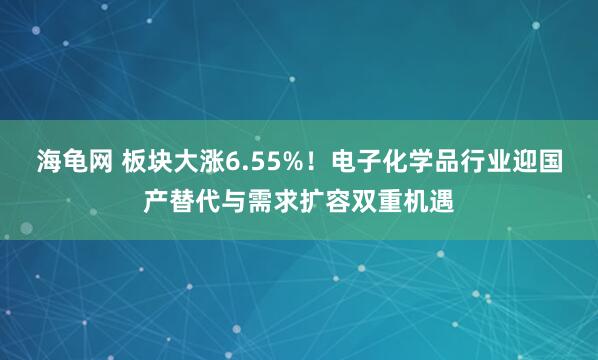 海龟网 板块大涨6.55%！电子化学品行业迎国产替代与需求扩容双重机遇